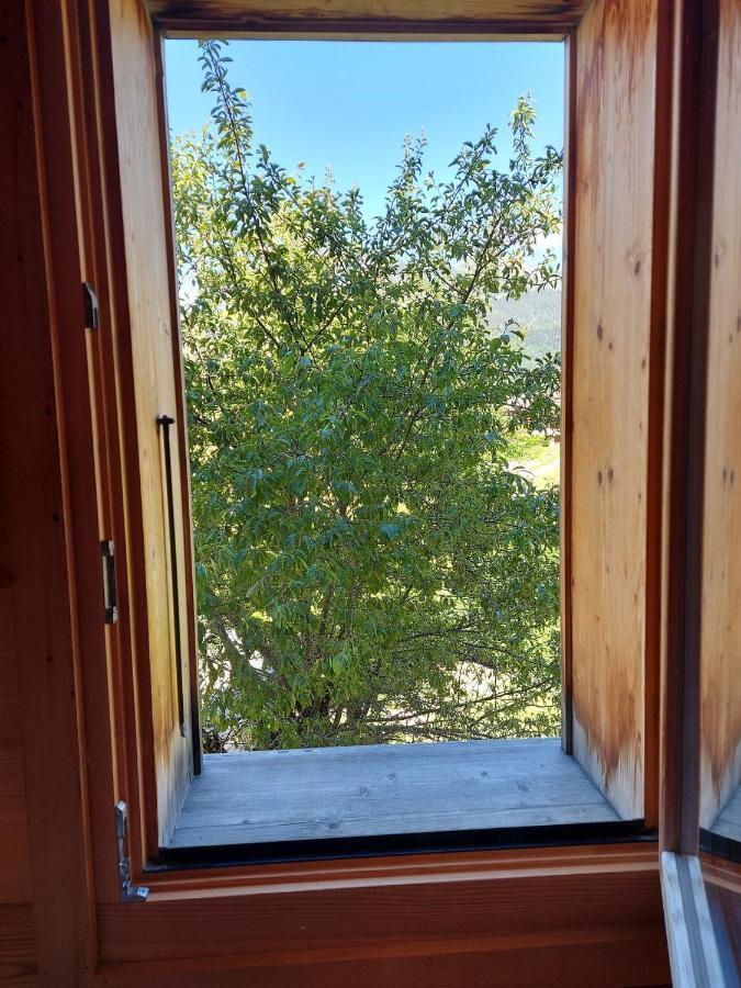 Chalet Sauna Au Pied Des Pistes - Saint Jean D'Aulps Station - 14 Personnes - Chalet Phoenix 外观 照片
